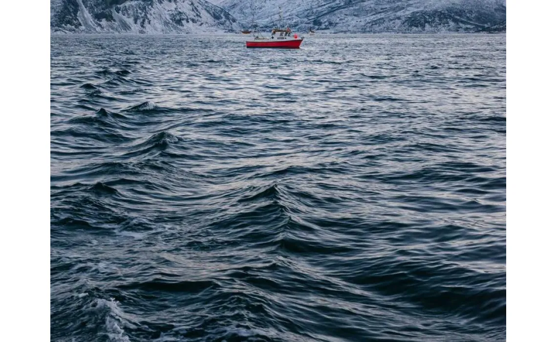 Tıraş makinesinin 5 bıçaklı olması neden önemli?