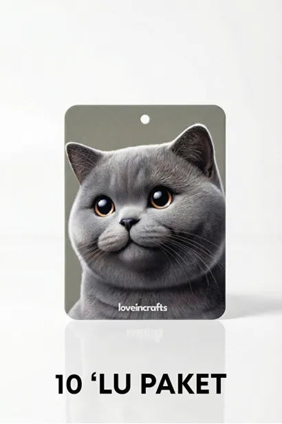 10'lu Paket Oto Araç Kokusu British Shorthair - Vanilya Kokulu