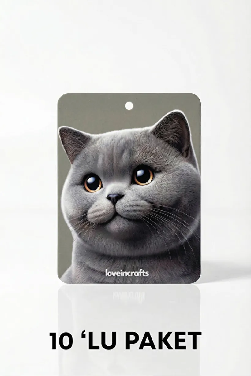 10'lu Paket Oto Araç Kokusu British Shorthair - Vanilya Kokulu