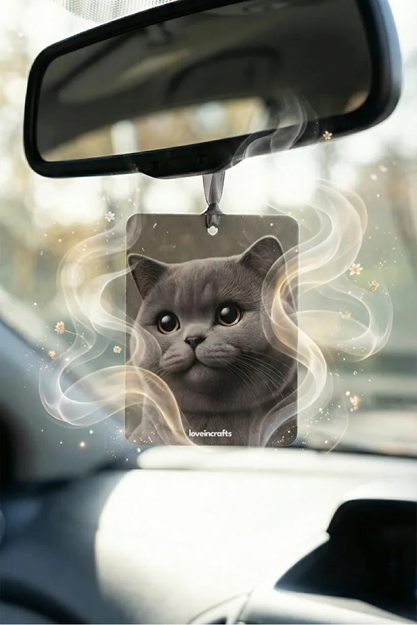 10'lu Paket Oto Araç Kokusu British Shorthair - Vanilya Kokulu